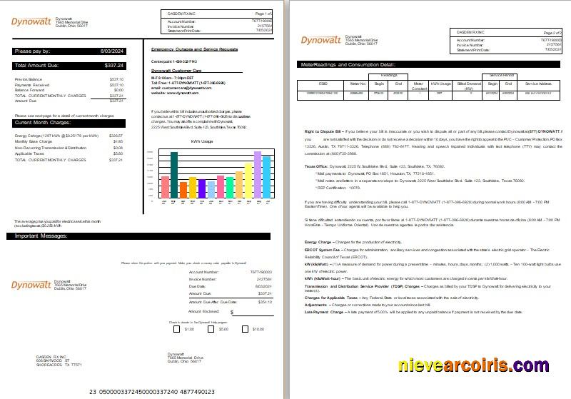 New York Dynowatt electricity business utility bill, 2 pages